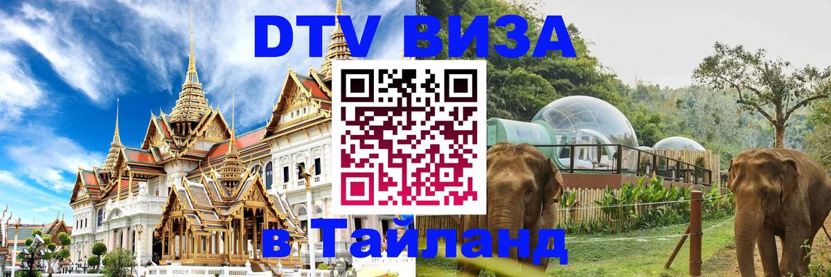Сколько стоит DTV виза — актуальные цены, оформление даже без документов - 20.11.2025 